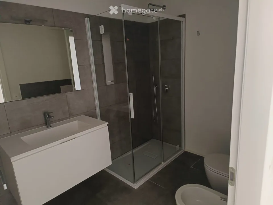 Verkaufe 2.5 Zimmer in Monteggio Nuovo, bereits vermietet