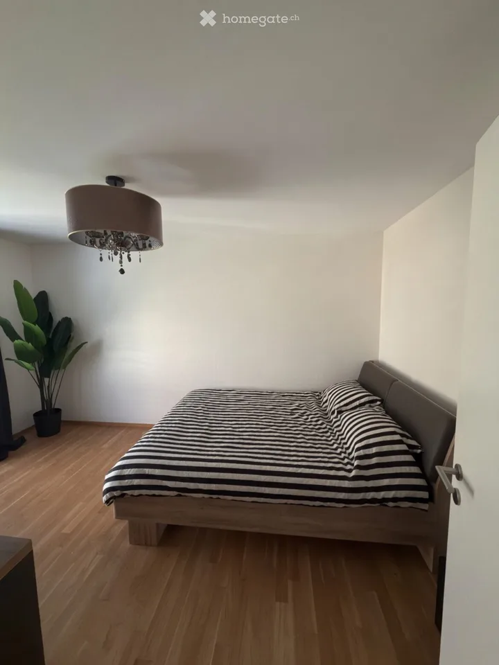 Beautiful 2.5-room modern apartment with large balcony in Cousset