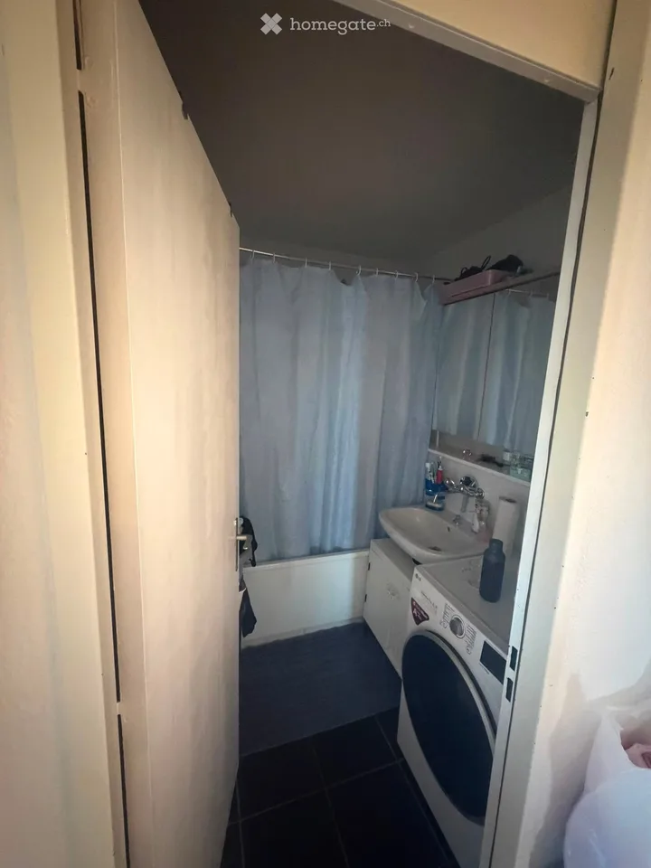 Wohnung 3,5 Zimmer