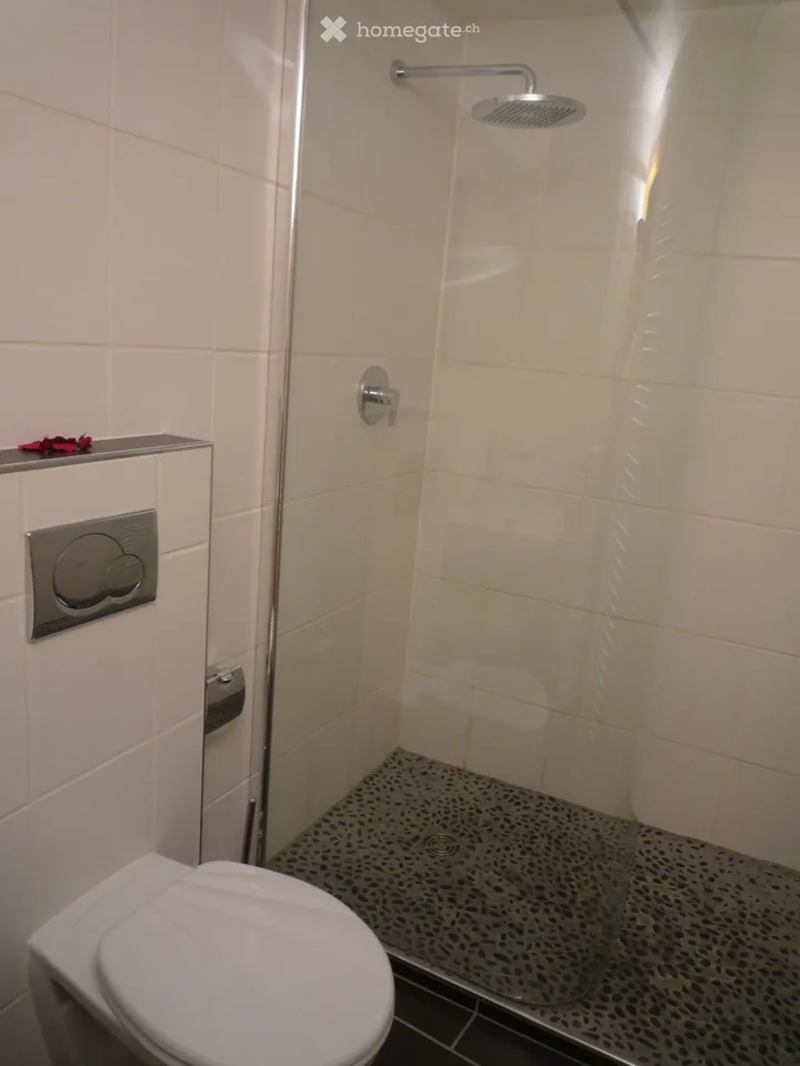 Bello appartamento di 3 locali con terrazza a Saillon Vieux Bourg