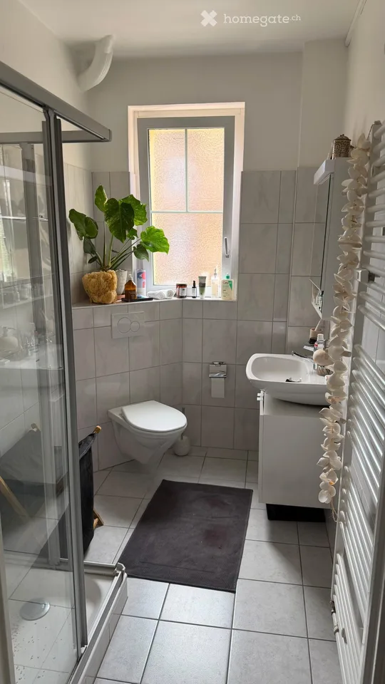 Großes 3.5-Zimmer-Apartment nahe dem See