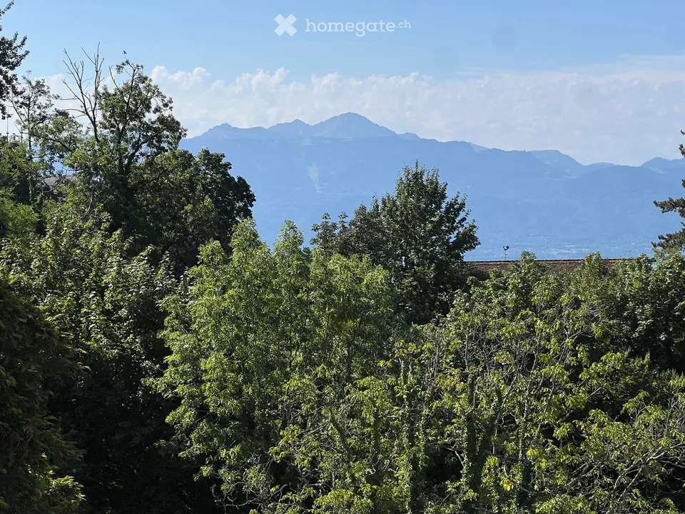 Appartement 3,5 pièces  Avenue du Léman