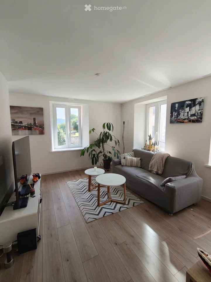 Renovated apartment