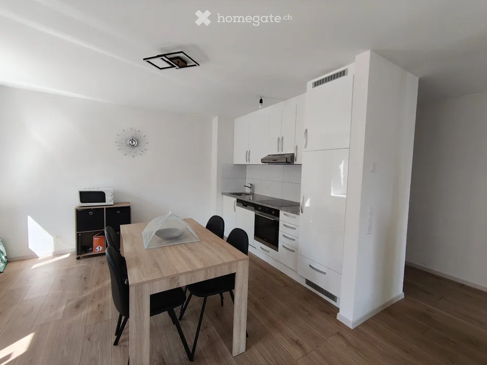 Renovated apartment