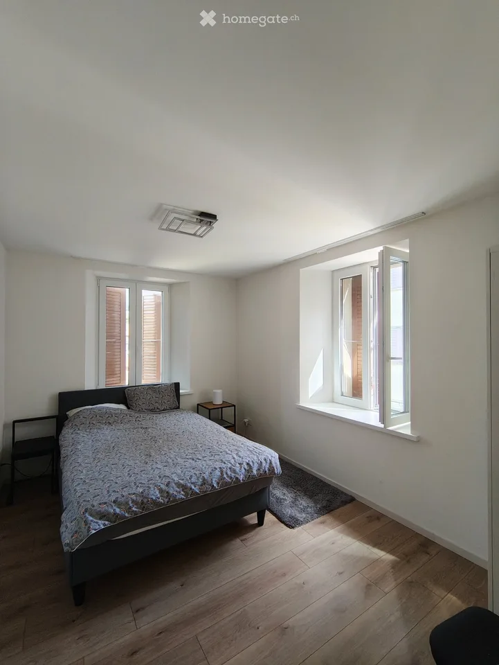 Renovated apartment