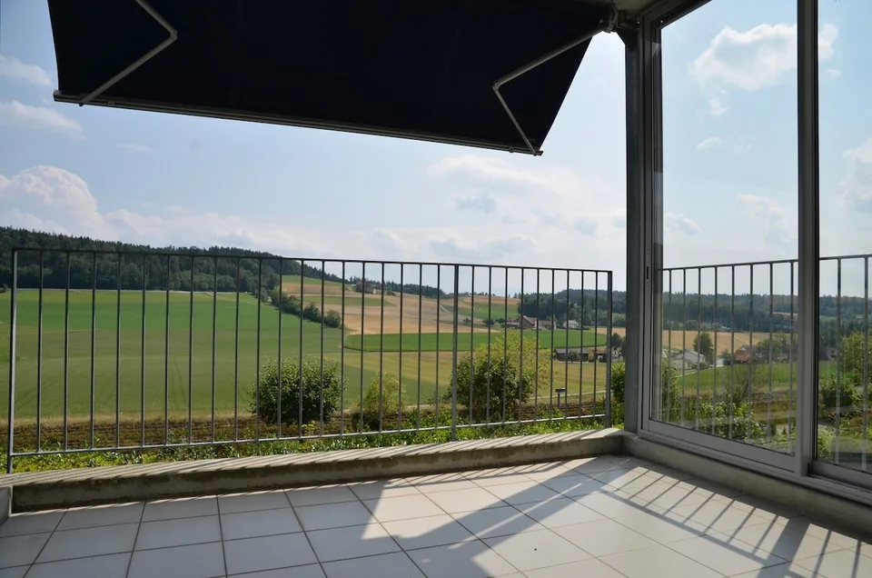 Sonnige 3.5-Zimmer-Wohnung mit herrlicher Weitsicht auf der Forch, Küsnacht