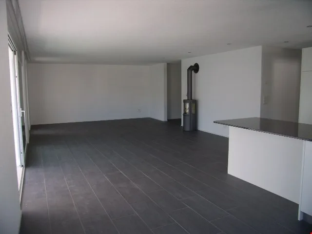 Appartement de rêve à Bucheggberg à louer