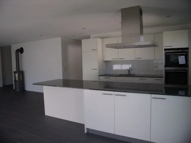 Appartement de rêve à Bucheggberg à louer