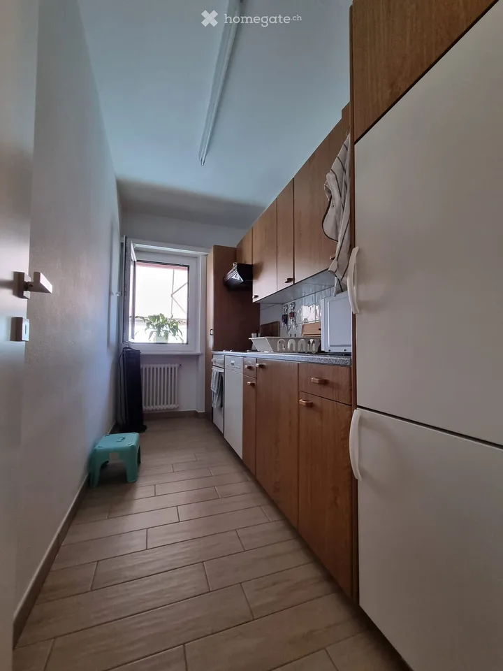 Appartement de 2 pièces avec jardin à Riva San Vitale
