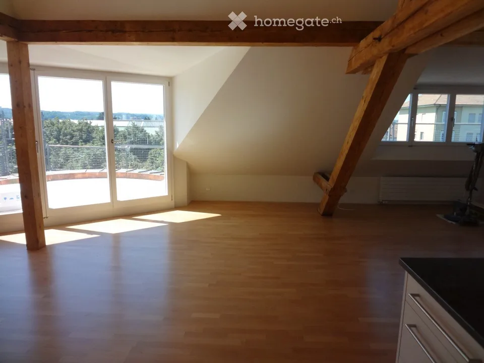 Appartement spacieux 3 1/2 pièces avec galerie, 135 m2