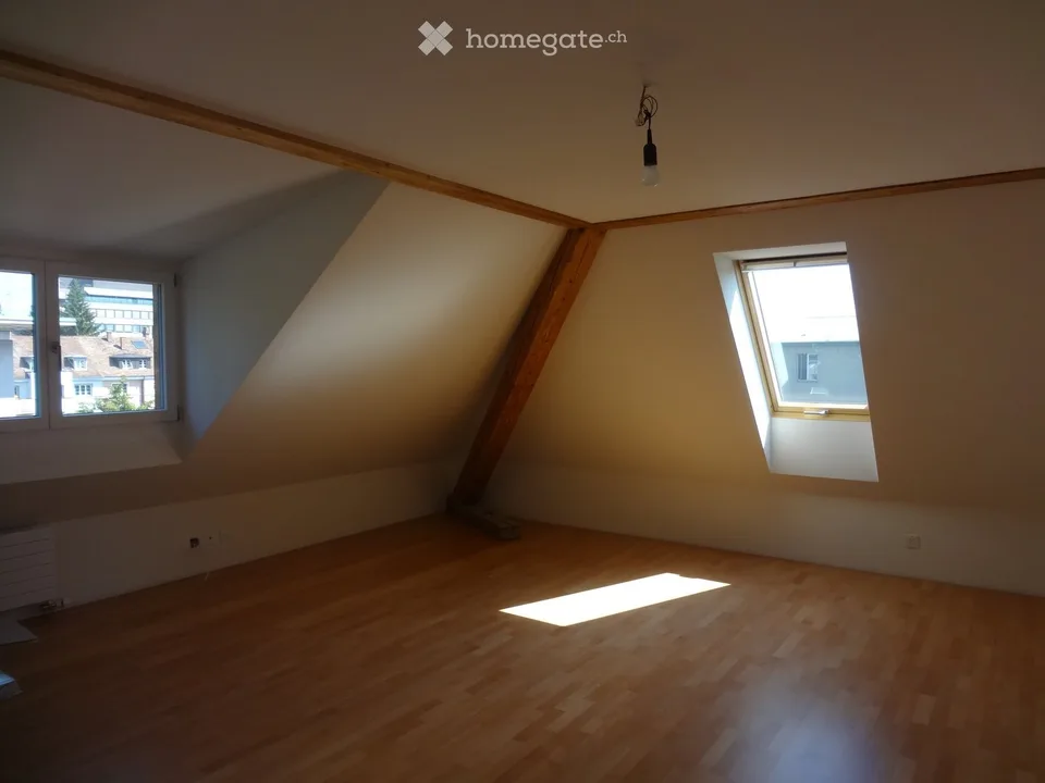 Appartement spacieux 3 1/2 pièces avec galerie, 135 m2