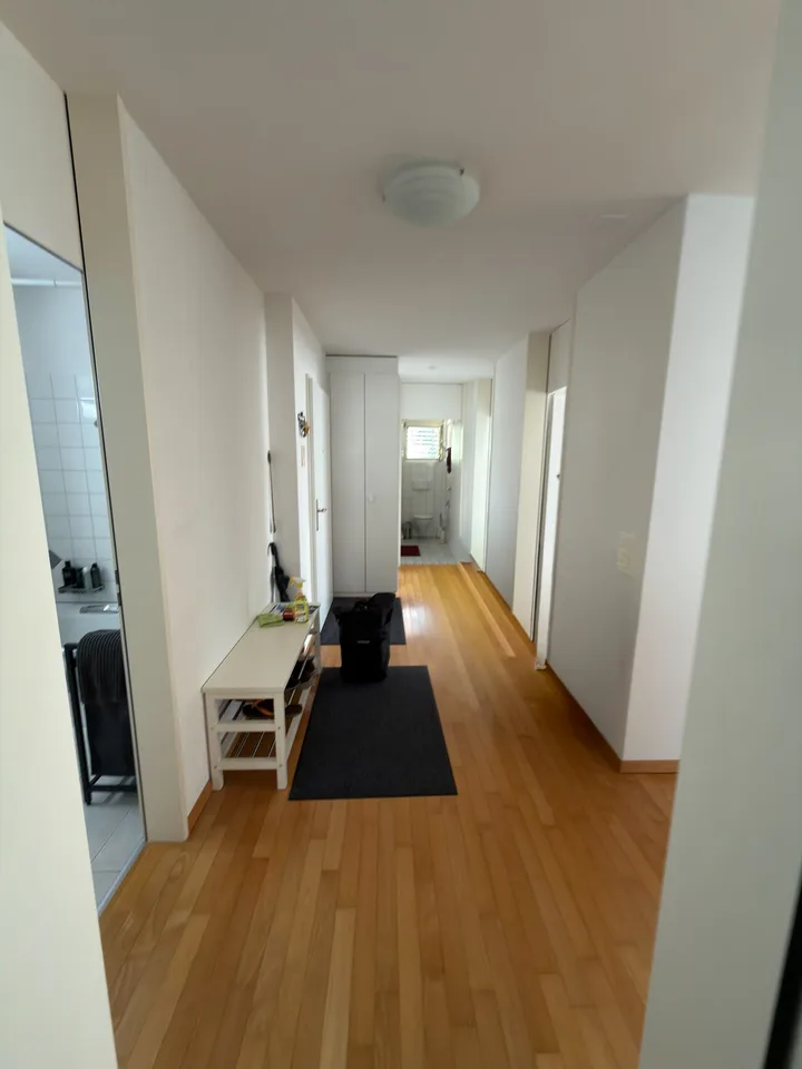 Appartement lumineux et confortable à Bremgarten