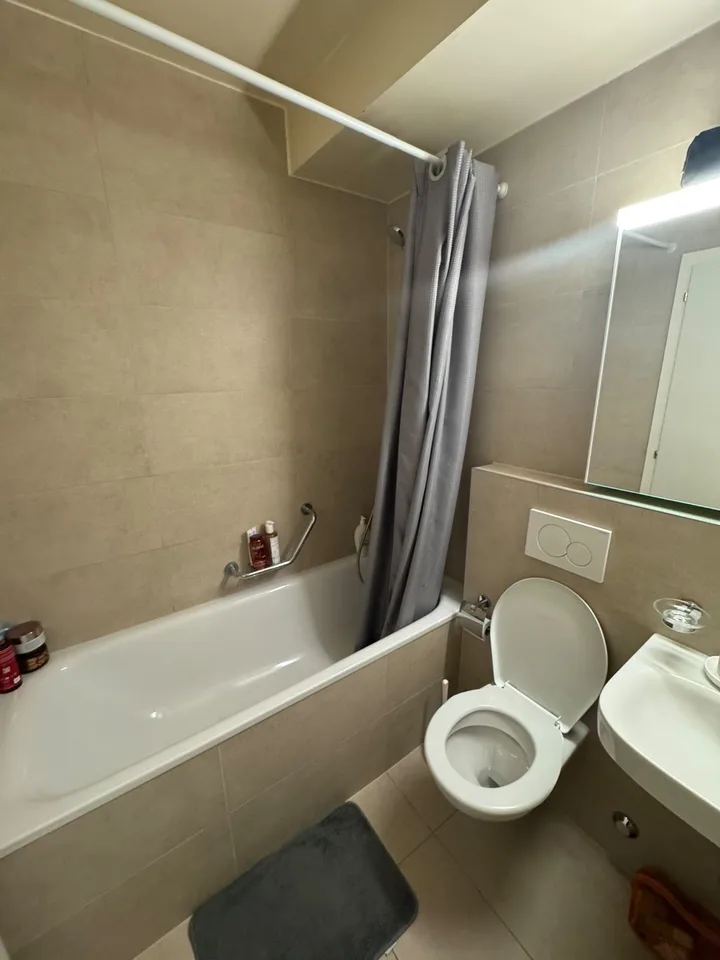Meraviglioso appartamento di 4 locali con balcone - Quartiere Servette, Ginevra