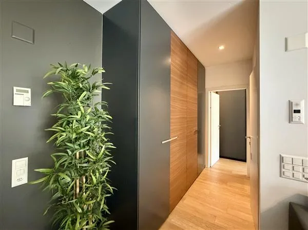 Lugano: Eingerichtete 2.5-Zimmer-Wohnung – Foto 3 von 12