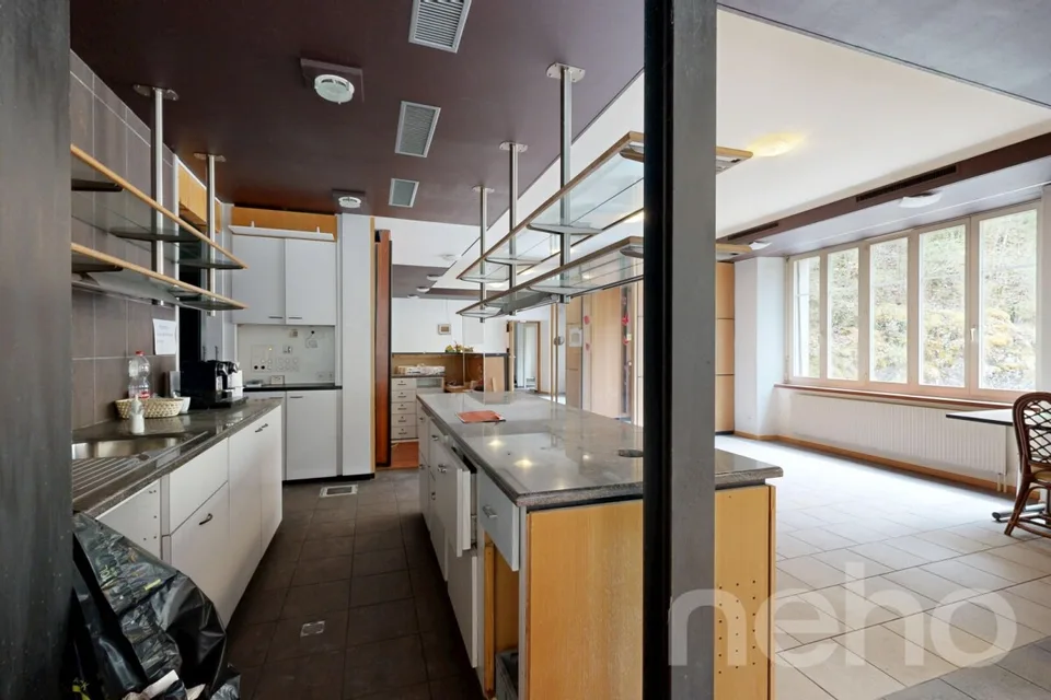OPPORTUNITÀ RARA: RISVEGLIATE LA LEGGENDA DELLA CASA MONSIEUR