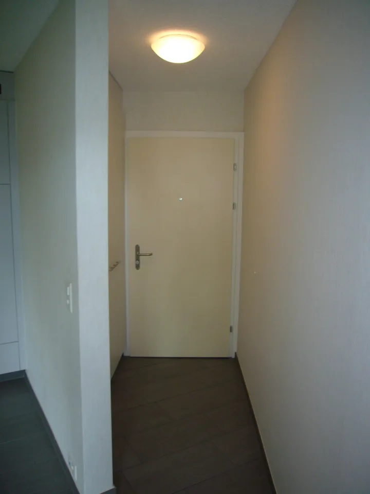 Ideal single apartment