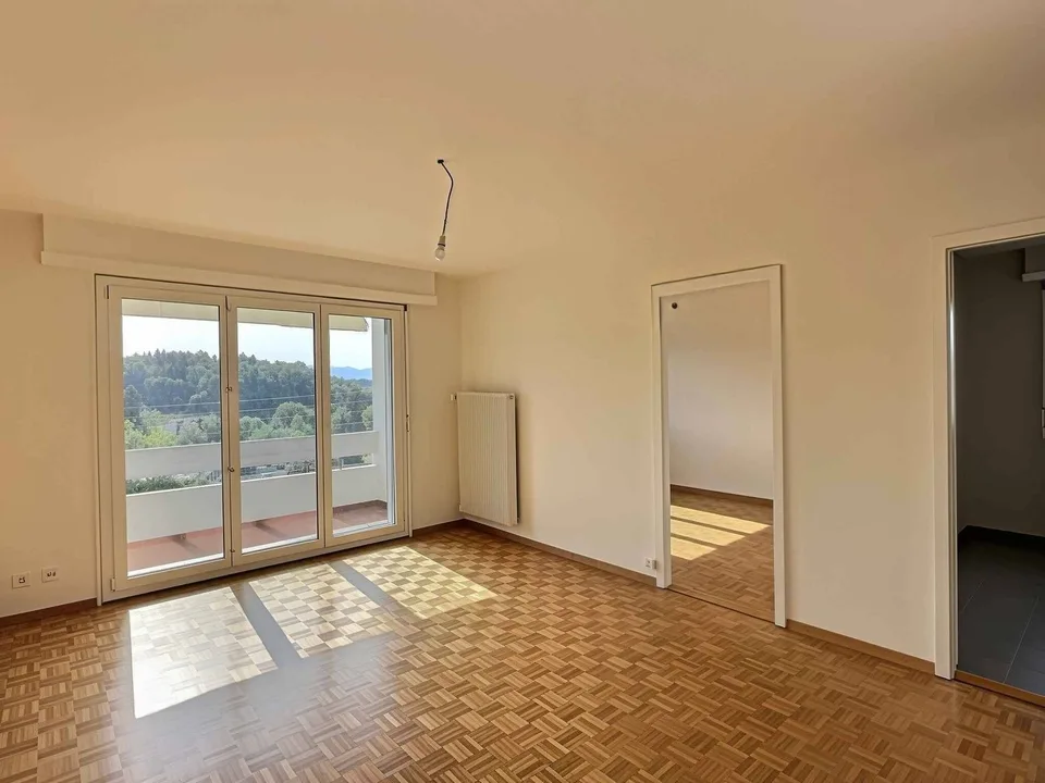 Splendido appartamento in affitto in un quartiere residenziale tranquillo di Losanna