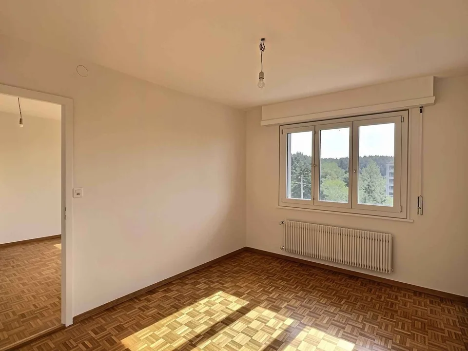 Splendido appartamento in affitto in un quartiere residenziale tranquillo di Losanna