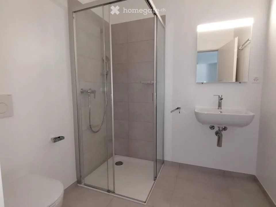 Modern 2.5-room apartment with habitable terrace