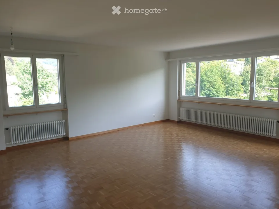 Appartamento tranquillo sul lago con vista meravigliosa (Nussbaumen AG)