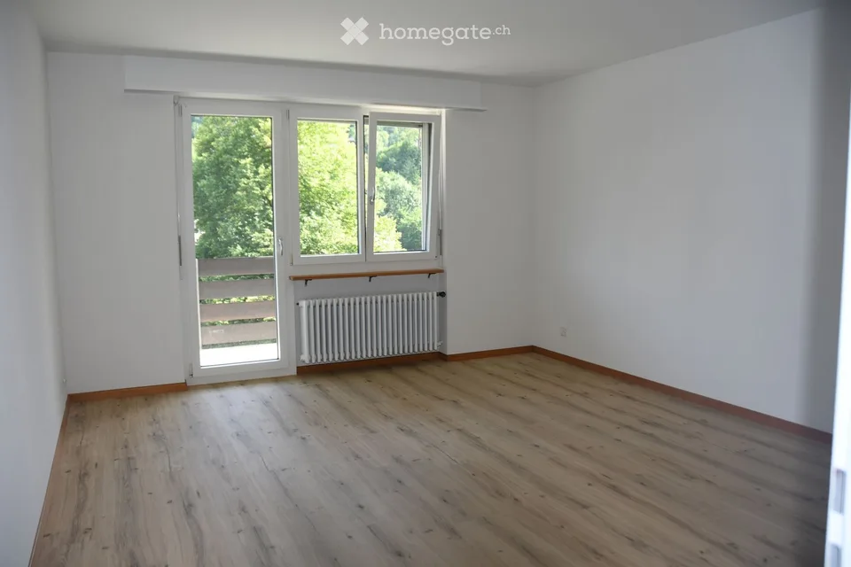 Appartamento tranquillo sul lago con vista meravigliosa (Nussbaumen AG)