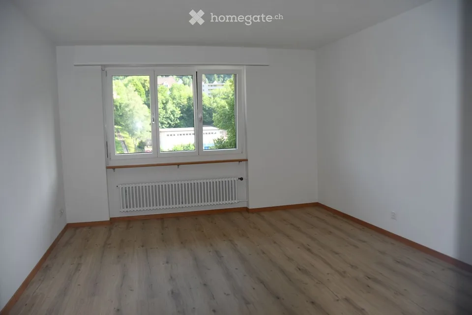 Appartamento tranquillo sul lago con vista meravigliosa (Nussbaumen AG)
