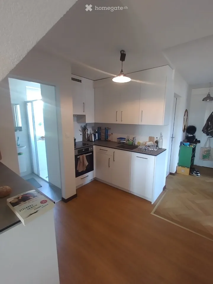 Superbe appartement à sous-louer dès novembre!