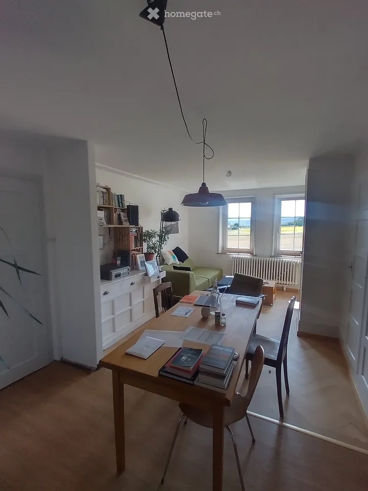 Superbe appartement à sous-louer dès novembre!