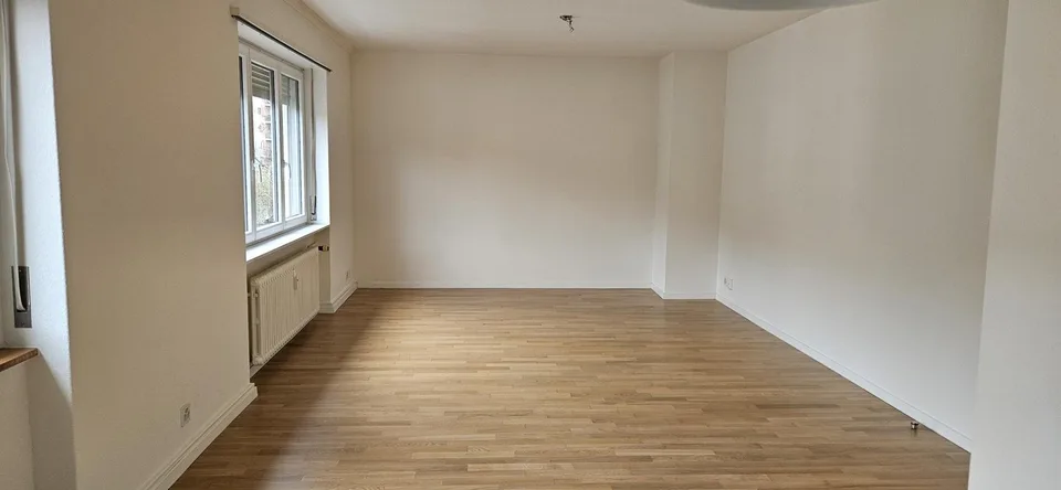 1.0 Zimmerwohnung in Basel