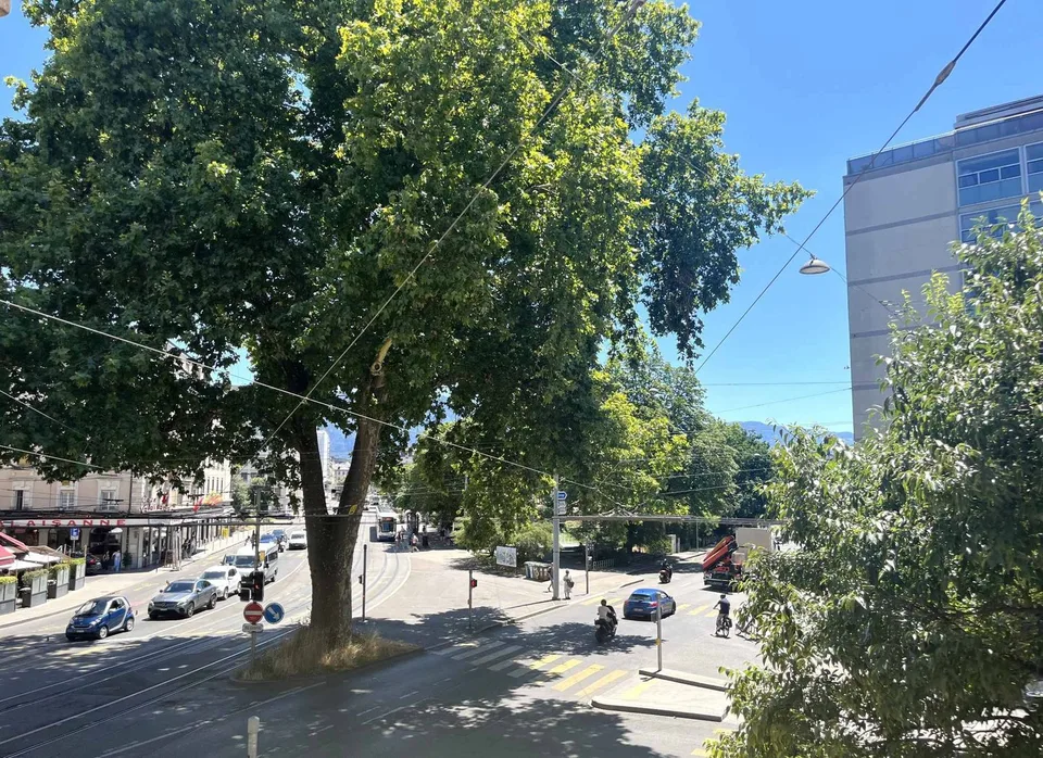 Surface de bureaux 67m2 Georges-Favon / Plainpalais