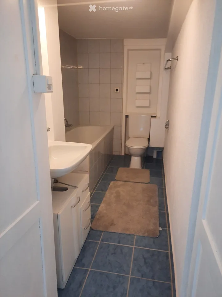 Appartement 2 pièces dans le Züri Oberland