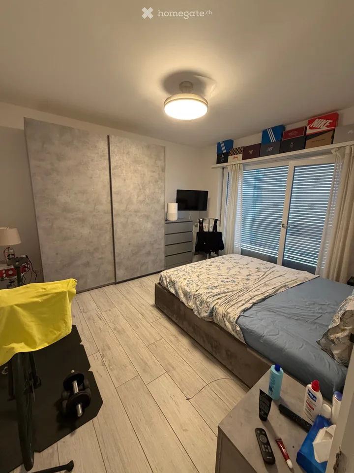 Suche Einziehender 1.5 Zimmer Bellinzona