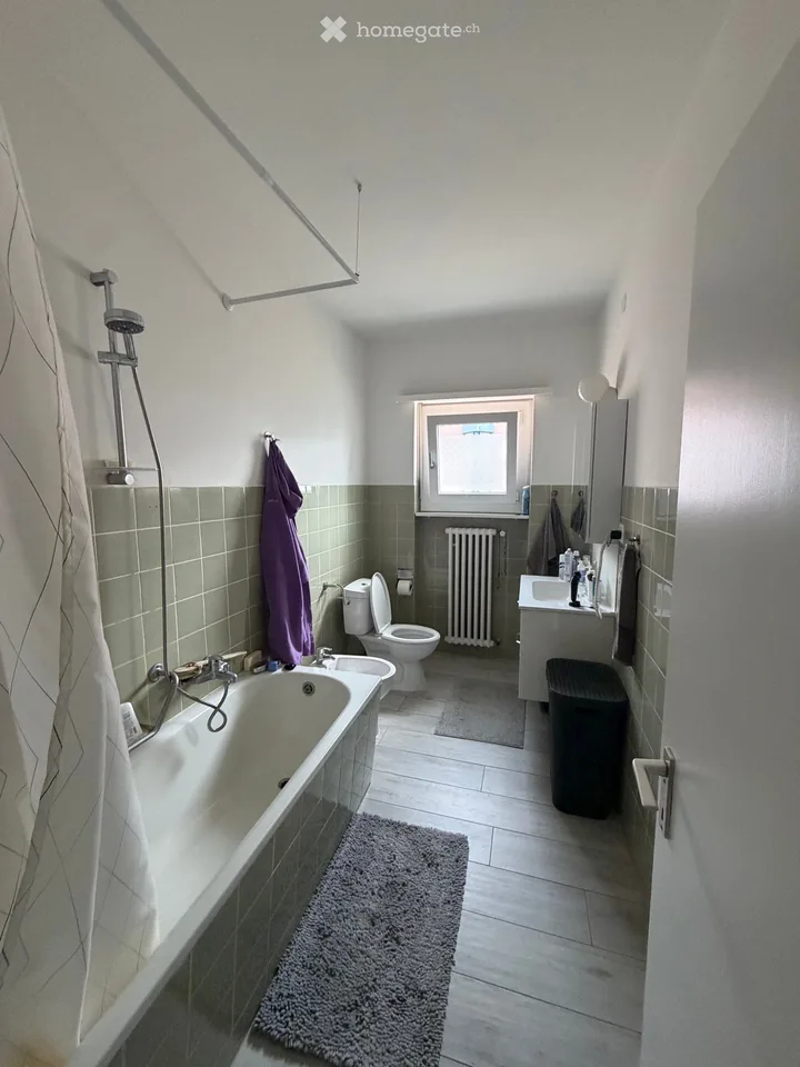 Suche Einziehender 1.5 Zimmer Bellinzona