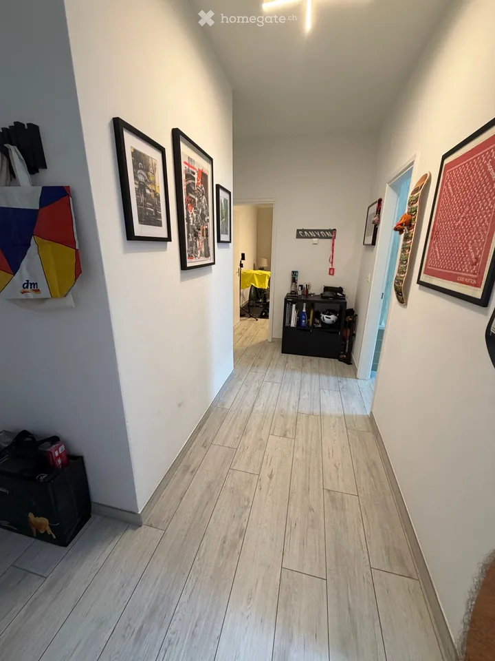 Suche Einziehender 1.5 Zimmer Bellinzona