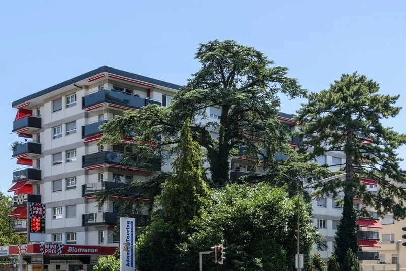 Dépôt à louer