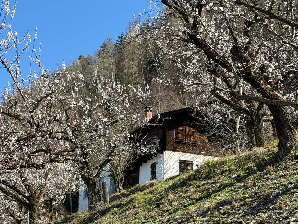 Chalet à renover à vendre à Saxon