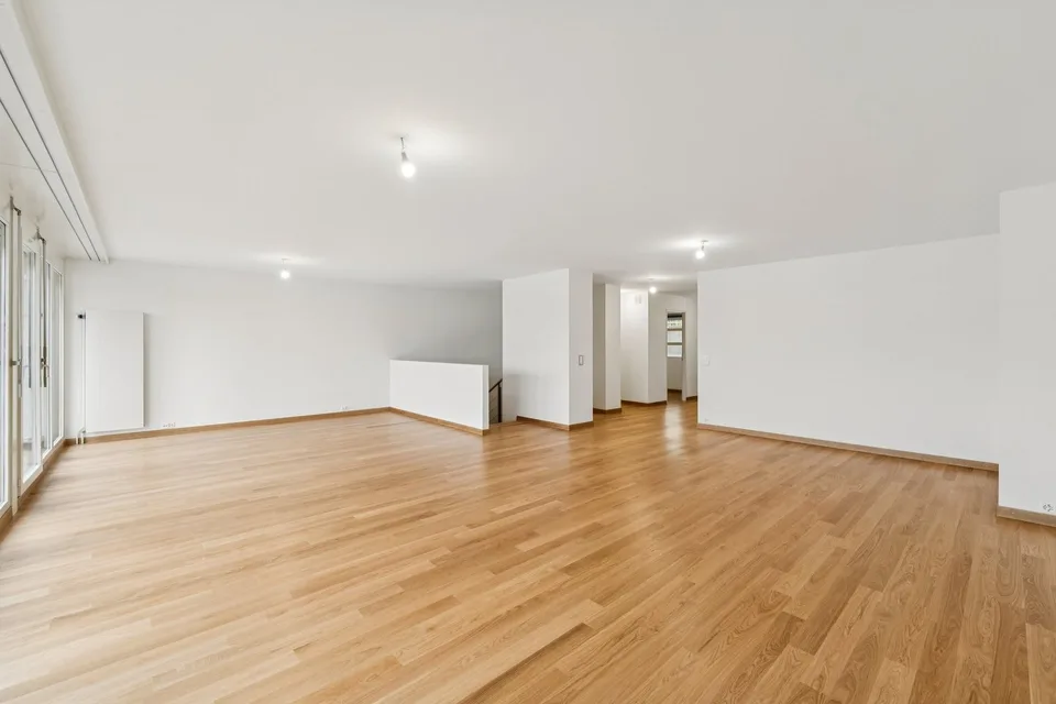 Exceptionnel attique en duplex avec terrasse rooftop !