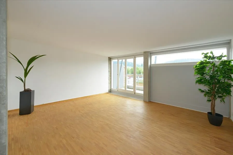 Bel appartement duplex avec grande terrasse sur le toit