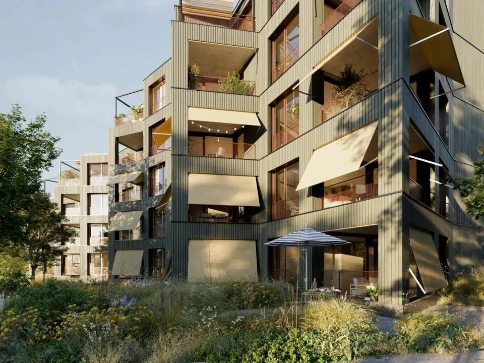 Gartenhaus Wädenswil! vögeliwohl!