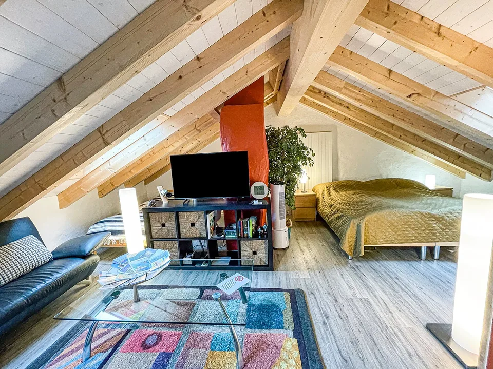 Einfamilienhaus mit separater Dachwohnung – photo 24 sur 30