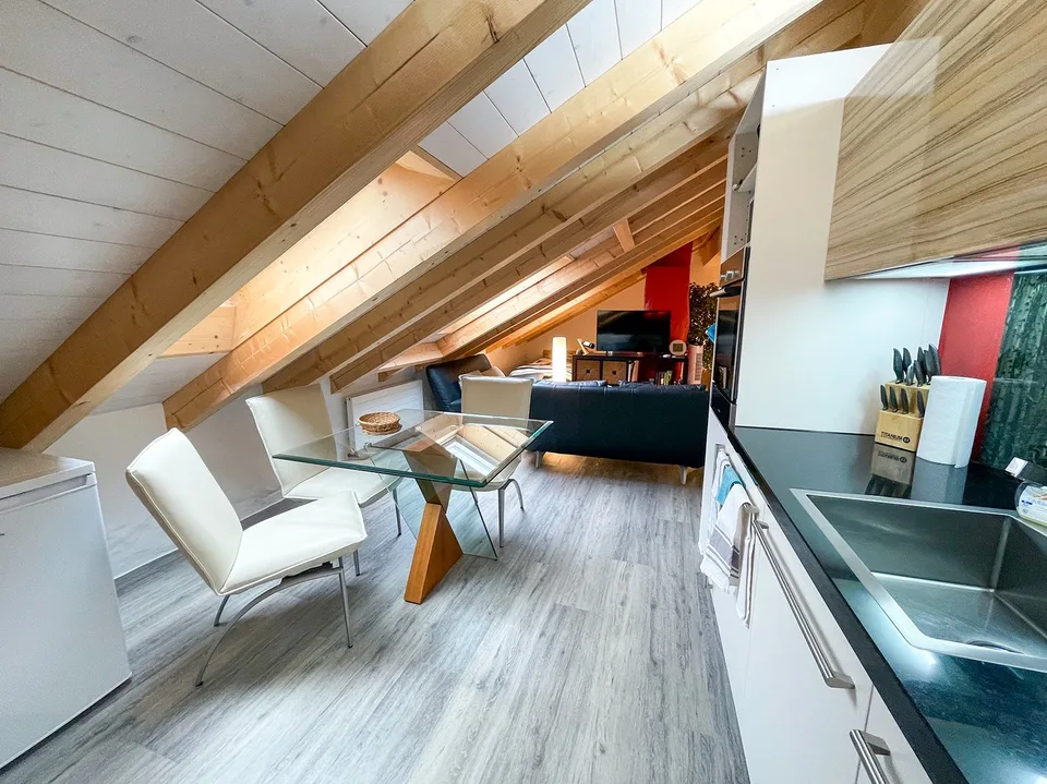 Einfamilienhaus mit separater Dachwohnung – photo 27 sur 30