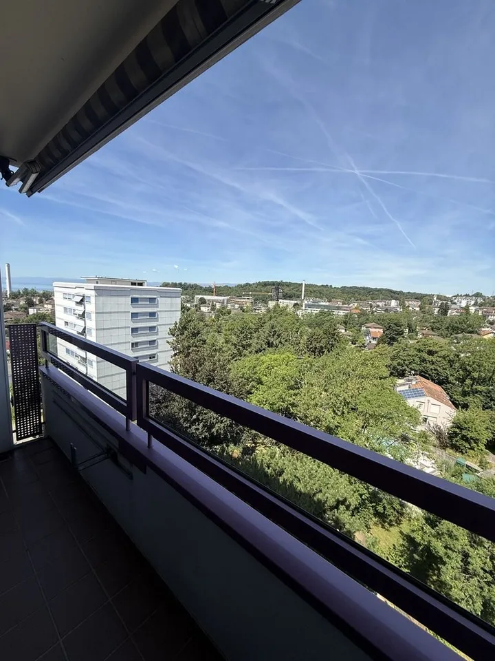 Carino appartamento di 2 locali con vista graziosa all'8° piano