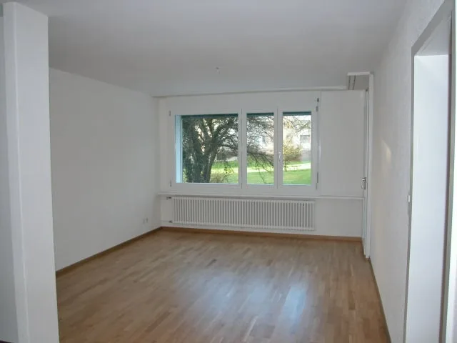 Bright 3.5-room apartment in Erlinsbach AG