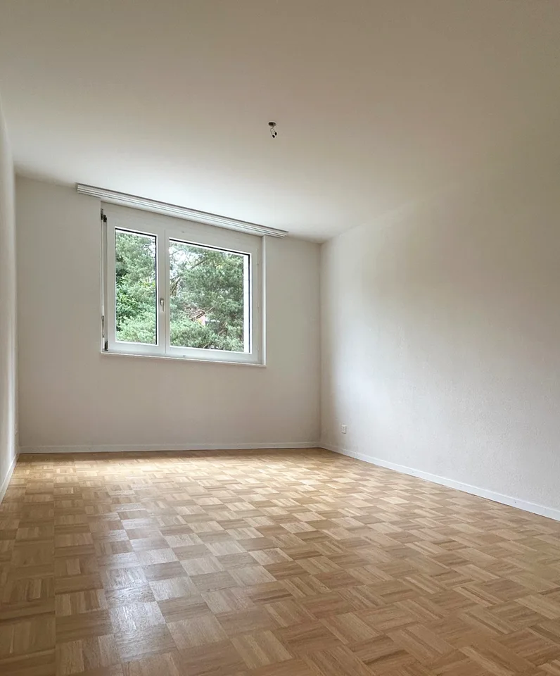 Schönes 3½-Zimmer-Apartment mit Balkon