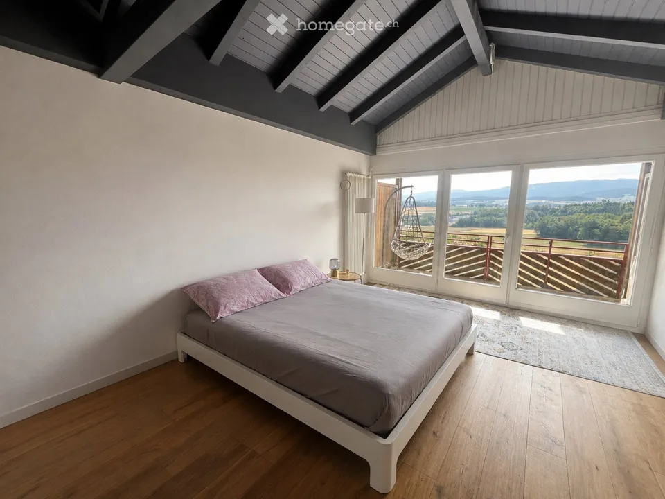 Meraviglioso appartamento attico di 3 locali con balconi