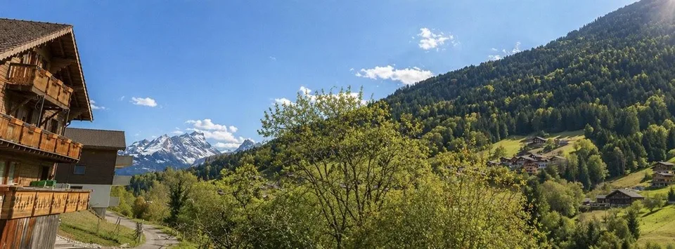 Chalet à rénover à vendre ? Troistorrents