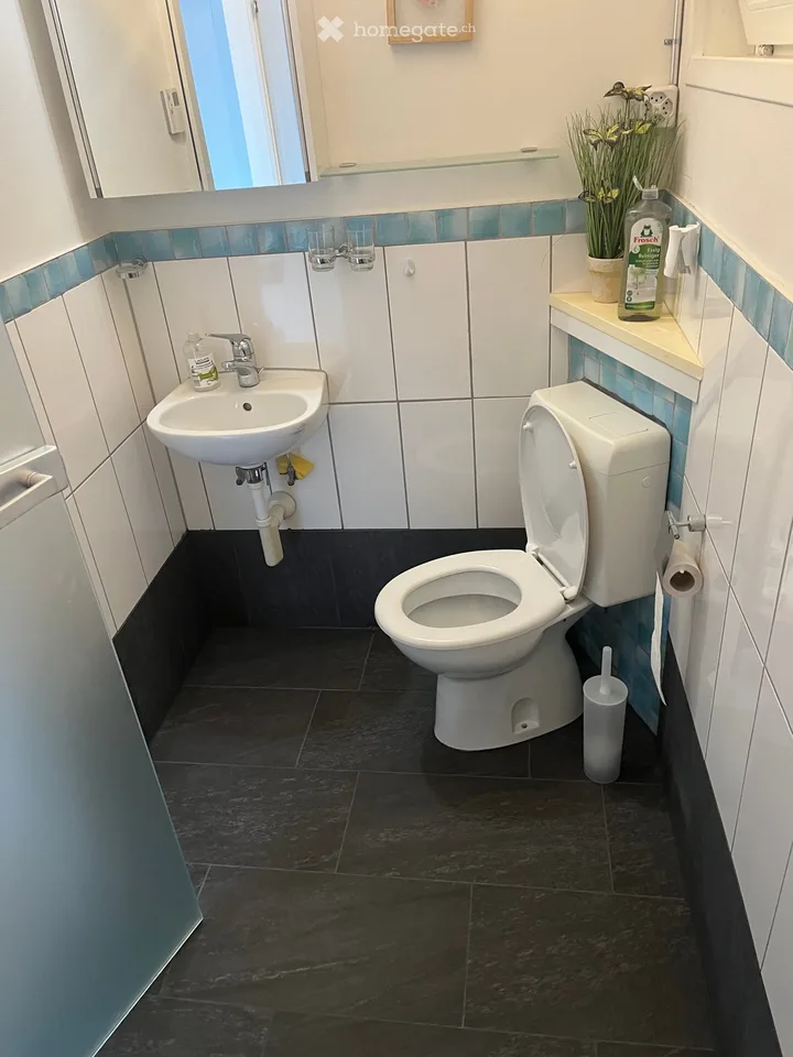 Appartamento 2 locali con vista lago da sogno a Schönörtli