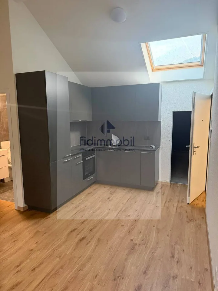 Splendide loft neuf, à louer à Peseux