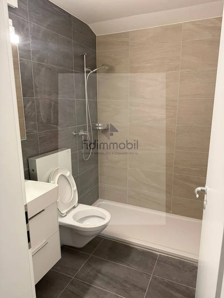 Splendido loft nuovo, in affitto a Peseux