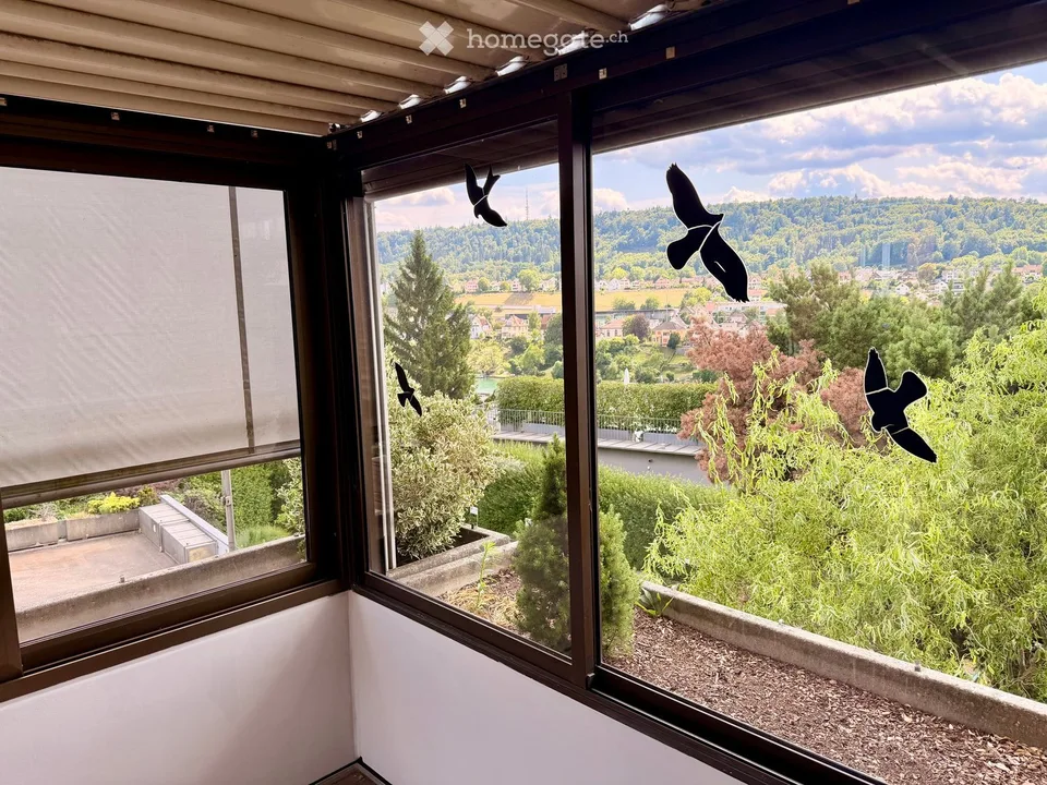 Posizione soleggiata con vista sul Reno: casa a schiera di 5,5 locali in una zona tranquilla a Sciaffusa